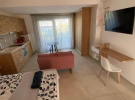 ANAX SUITE, apartment in Pera Gyalos