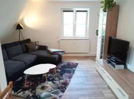 Ferienwohnung Nr 2 am Hambach