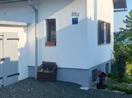 Villa Marijana