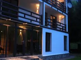 Wild Hunts Lodge Retezat