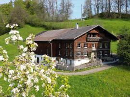 Bergoase Hohenegg: Lingenau şehrinde bir otel