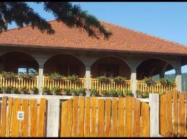 Domaćinska kuća, hotel v destinaci Aranđelovac