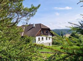 Pension Helena Honesová, homestay in Horská Kvilda