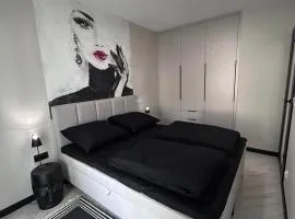 BoleslaviaApartments - Apartament Arte - air conditioning, parking free, EV