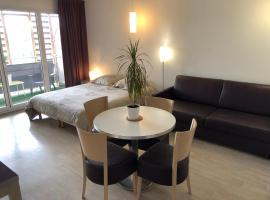 Appart LOURDES 100 m GARE - 4 Places avec Balcon 10mn Sanctuaire, ξενοδοχείο στη Λούρδη
