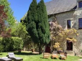 Gîte historique avec piscine privée, proche de Chinon - FR-1-381-530