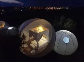 Bubble Tents