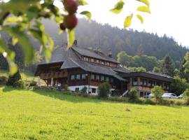 Das Schwarzwaldhotel – hotel w mieście Todtmoos