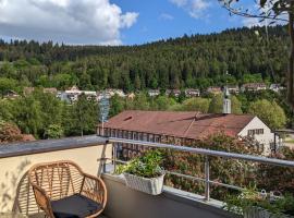 WOLKENFREI - ankommen und Zuhause fühlen - Apart-VL, hotel ieftin din Bad Liebenzell