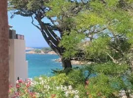 Superbe Studio accès direct à la plage de Renecros Tout à pied linge de lit, serviettes de bain et ménage de fin de séjour inclus