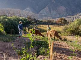 Dormir con llamas, hotel v destinaci Maimará