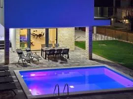 Villa BELLAMY with pool and jacuzzi near Poreč