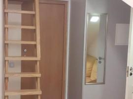 Loft style apartments in Kaunas center