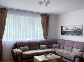 Apartment Varezić, apartmen di Pluzine