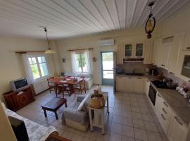 Palaiokrassa sunny appartment, hotel with parking in Andros Chora