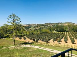 Country house in the Langhe with vineyard, hotel in Dogliani