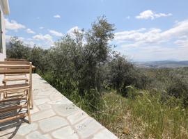 Little house in the olive grove, hotel in Melissátika