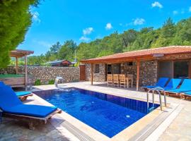 Havuzu Korunaklı Jakuzili Villa, Hotel in Kınalı