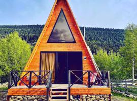Cozy chalet in Mestia, cabin in Mestia