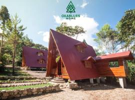 Oxablues Home Lodge, отель в городе Оксапампа