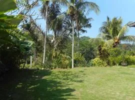 Cegeng Lestari Guesthouse