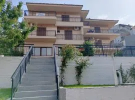 Papas Studios