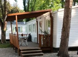 Mobil Home proche EUROPA PARK/RULANTICA