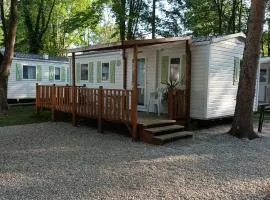 Mobil Home proche EUROPA PARK/RULANTICA