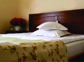 Vila Toparceanu - Therme & Airport Otopeni
