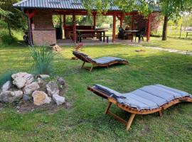 House Kupa MB, vacation rental in Petrinja