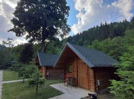 Mulliri, hotel in Peje