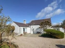 Llwyn Celyn