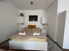 R59 Apartman with free parking