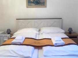 Pension VIDHOUS 1, homestay in Františkovy Lázně