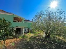 Holiday house with a parking space Vela Luka, Korcula - 21165