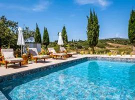 Sunny Paradise Luxury Villa With Pool & Hot Tub