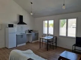 Grand appartement, lumineux