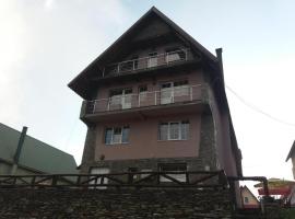 Pensiunea Brandusa, hotel em Ranca