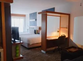 SpringHill Suites by Marriott Dallas Richardson/Plano