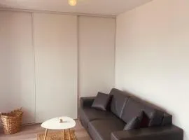 Grand studio toit terrase Ajaccio