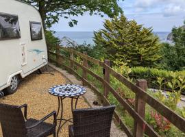 Daisy the caravan, place to stay in Berrynarbor