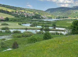 Bel appartement cosy proche de la frontière Suisse, хотел в Вилер-льо-Лак