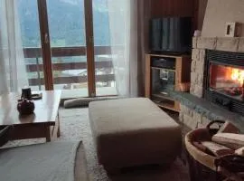 Appartement au pied des télécabines