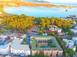 Hotel Bleu Nuit, hotel in Bodrum City