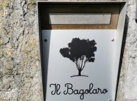 Il Bagolaro