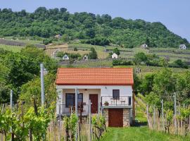 Jera Pince és Vendégház, cheap hotel in Somlóvásárhely