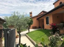 Il giardino delle rose