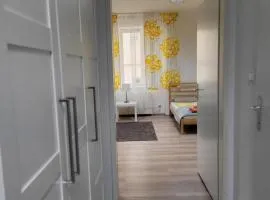 Budget studio near Prater