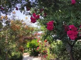 Maison d'hôtes Coeur d'Hérault - Gîte et Chambres d'hôtes - SPA & Massages