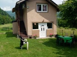 Vikendica Petkovic, hotelli kohteessa Crvica